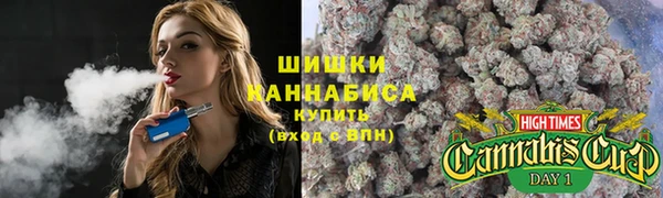 винт Алексин