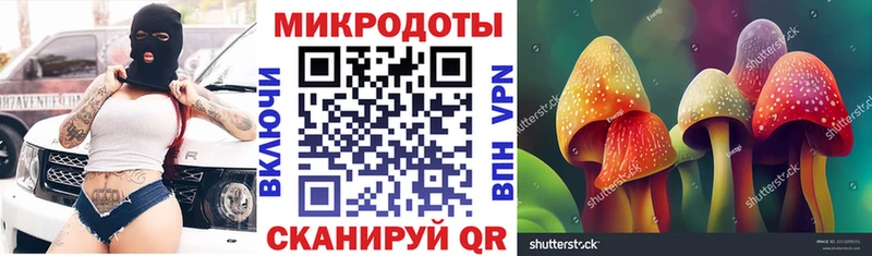 кракен как войти  наркошоп  Котельники  Псилоцибиновые грибы MAGIC MUSHROOMS 